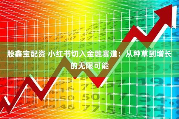 股鑫宝配资 小红书切入金融赛道：从种草到增长的无限可能