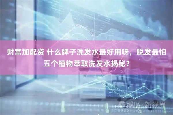 财富加配资 什么牌子洗发水最好用呀，脱发最怕五个植物萃取洗发水揭秘？