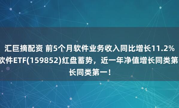 汇巨摘配资 前5个月软件业务收入同比增长11.2%，软件ETF(159852)红盘蓄势，近一年净值增长同类第一！