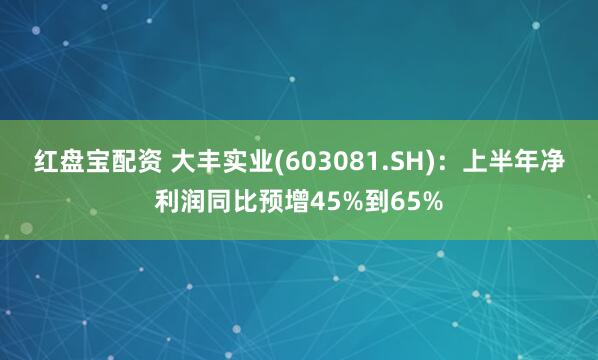 红盘宝配资 大丰实业(603081.SH)：上半年净利润同比预增45%到65%