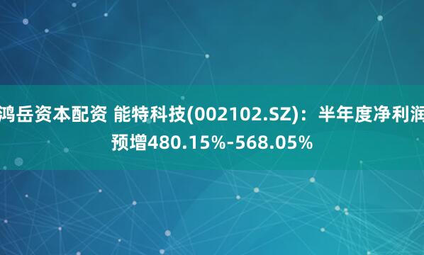 鸿岳资本配资 能特科技(002102.SZ)：半年度净利润预增480.15%-568.05%