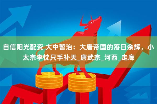 自信阳光配资 大中暂治：大唐帝国的落日余辉，小太宗李忱只手补天_唐武宗_河西_走廊